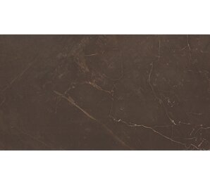 Фото настенная Altacera Fiore Crema Marble Marron WT9MRB21 249х500 altacera