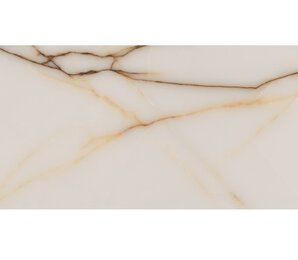 Фото Splendida Fancy Onix Glossy 60x120 neodom