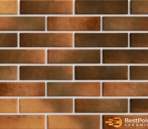 Фото Retro Brick Curry 245x65x8,5 bestpoint