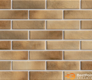 Фото Retro Brick Masala 245x65x8,5 bestpoint