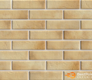 Фото Retro Brick Salt 245x65x8,5 bestpoint