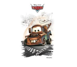 Фото Disney MATER R3060 30x60 Azteca Ceramica