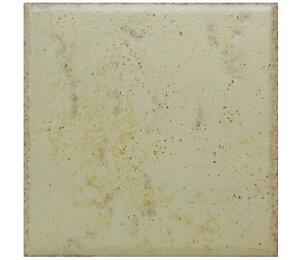 Фото Rumagna SP20 Beige 10x10 Del Conca