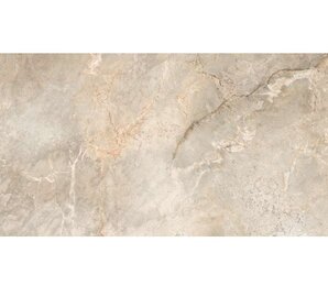 Фото Marble Silver Polished 60x120 6502 leopard