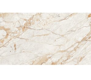 Фото CV20196 Splendida Rosalia Polished 60x120 neodom