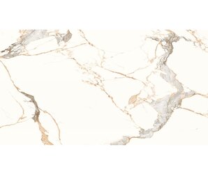 Фото n20332 Titanium Statuario Gold Polished 120x278 neodom