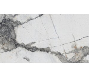 Фото N20344 Titanium Renoir Polished 120x280 neodom