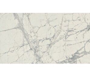 Фото Prexious Rex Mountain Treasure Glossy 60x120 Rex