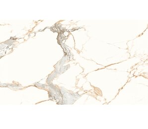 Фото n20320 Belvedere Statuario Gold Fusion 60x120 neodom