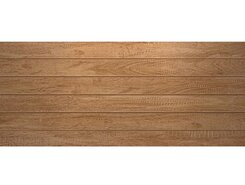 Effetto Wood Ocher 03 25х60 (R0425K29603)