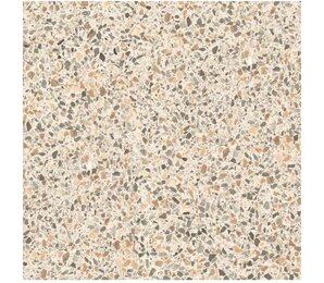 Фото СП260 CP TERRAZZO Beige 60x60 Casalgrande Padana