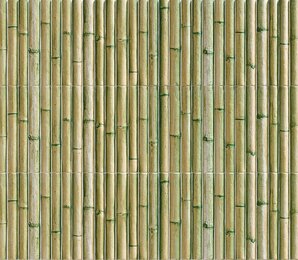 Фото Bamboo Green 15x30 Mainzu (восток)