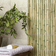 Bamboo Green 15x30 фото4