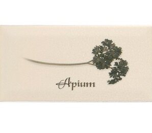 Фото Декор DECOR APIUM CREMA 10*20 Ape Ceramica