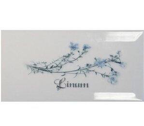 Фото Декор DECOR LINUM BLANCO 10*20 Ape Ceramica