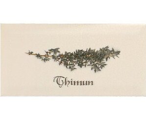 Фото Декор DECOR THIMUN CREMA 10*20 Ape Ceramica