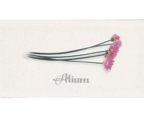 Фото Декор DECOR ALIUM BLANCO 10*20 Ape Ceramica