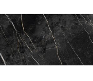 Фото Nuit Gloss 49,1x98,2 Ceracasa