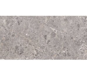 Фото Artic Gris Natural 60x120 Grespania