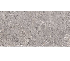 Фото Artic Gris Pulido 59x119 Grespania