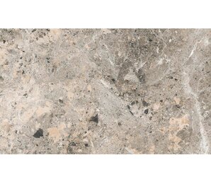 Фото Alaska Grey Pol. 60x120 n159742 alpas