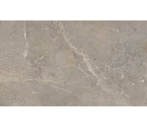 Фото Augustus Brown Natural rect 60x120 n164411 Absolut Keramika