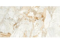 Breccia Pol. 60x120 n159744