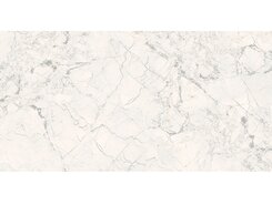 Плитка Breccia Silver Carving 6 mm 60x120 n144732