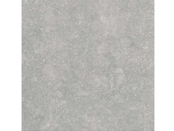 Fossil Gris 2 cm 60x60 n160826