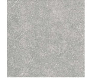 Фото Fossil Gris 2 cm 60x60 n160826 alpas