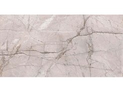 Плитка Marble Dragon Grey Silk 60x120 n159740