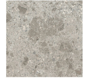 Фото Grigio Luminoso Soft 120x120 n140182 ariostea