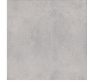 Фото Sillent grey 60x60 n164110 zerde