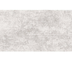 Фото Urban light grey 60x120 n163881 zerde